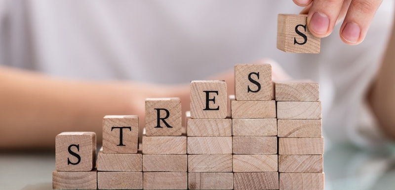 What are the main causes of work-related stress?